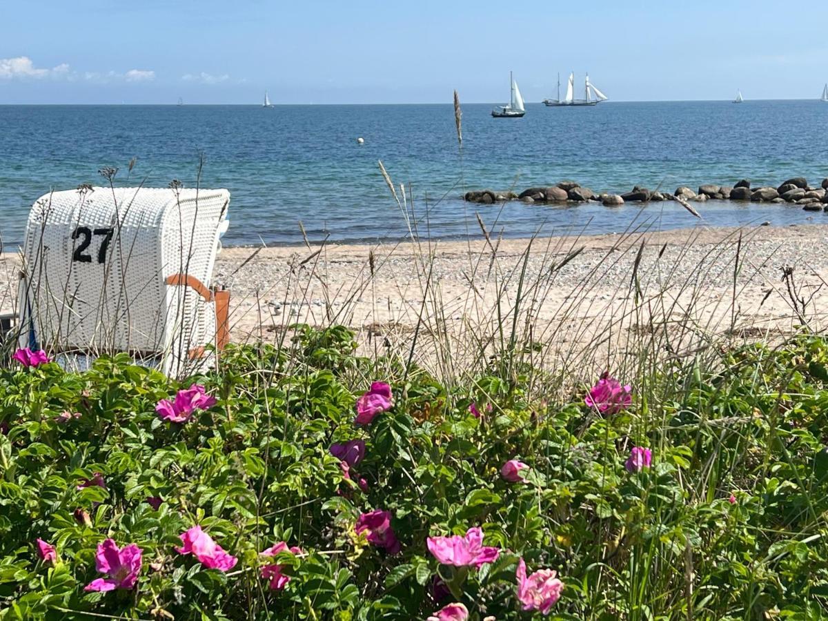 Seelund - Meeresrauschen Lauschen - Ruhiges Sonniges Apartment Mit Garten Und Terrasse Nahe Strand Und Ostsee Schönhagen Exterior foto